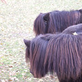 100_0512.jpg